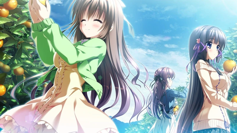 cover of next post