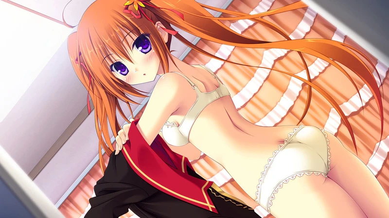 【GAL/汉化/HOOKSOFT社】lovely quest 【PC+ONS】
