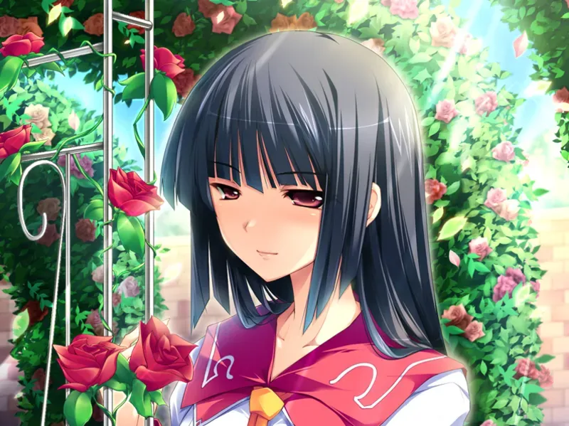 【GAL/汉化/ensemble音符社】花与乙女的祝福 本篇+番外 【PC+ONS】