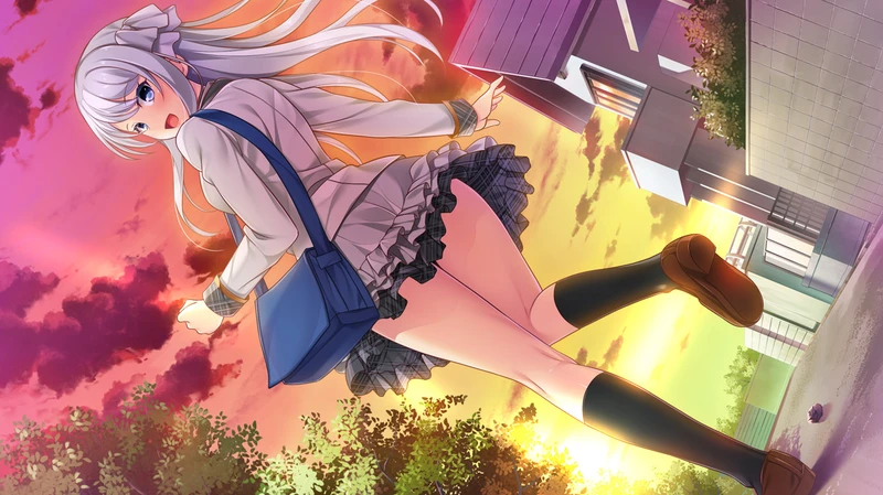 cover of next post