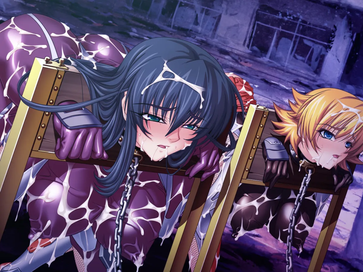 【GAL/汉化/Lilith社】对魔忍 13部合集+动画 【PC+KR/23G】