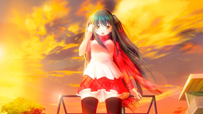 cover of next post