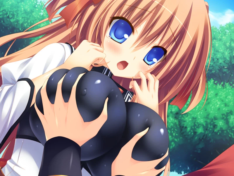 【GAL/汉化/softhouse-seal软房子社】胸部战争 ~巨乳王国VS贫乳王国~ 【PC+KR】