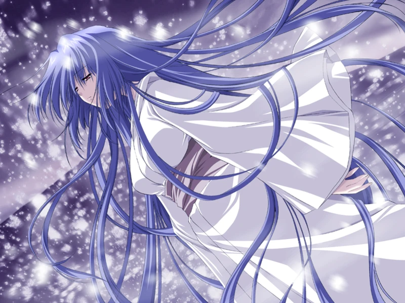 【GAL/汉化/银弹社】雪影 -setsuei- 电脑版