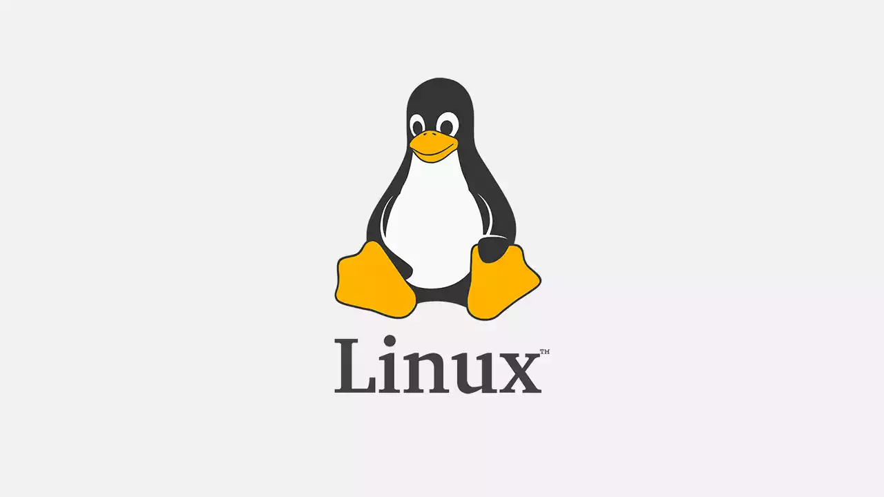 Linux查看端口进程