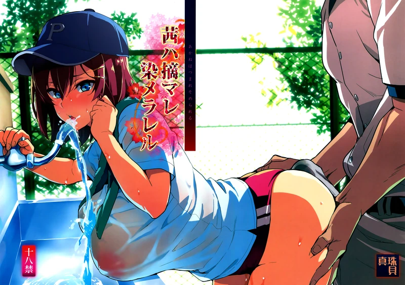 【日番】向日葵+紫阳花 动漫+漫画 1080P高清日语中字【5G】