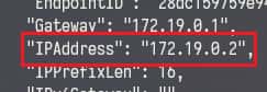 获取 Container IP