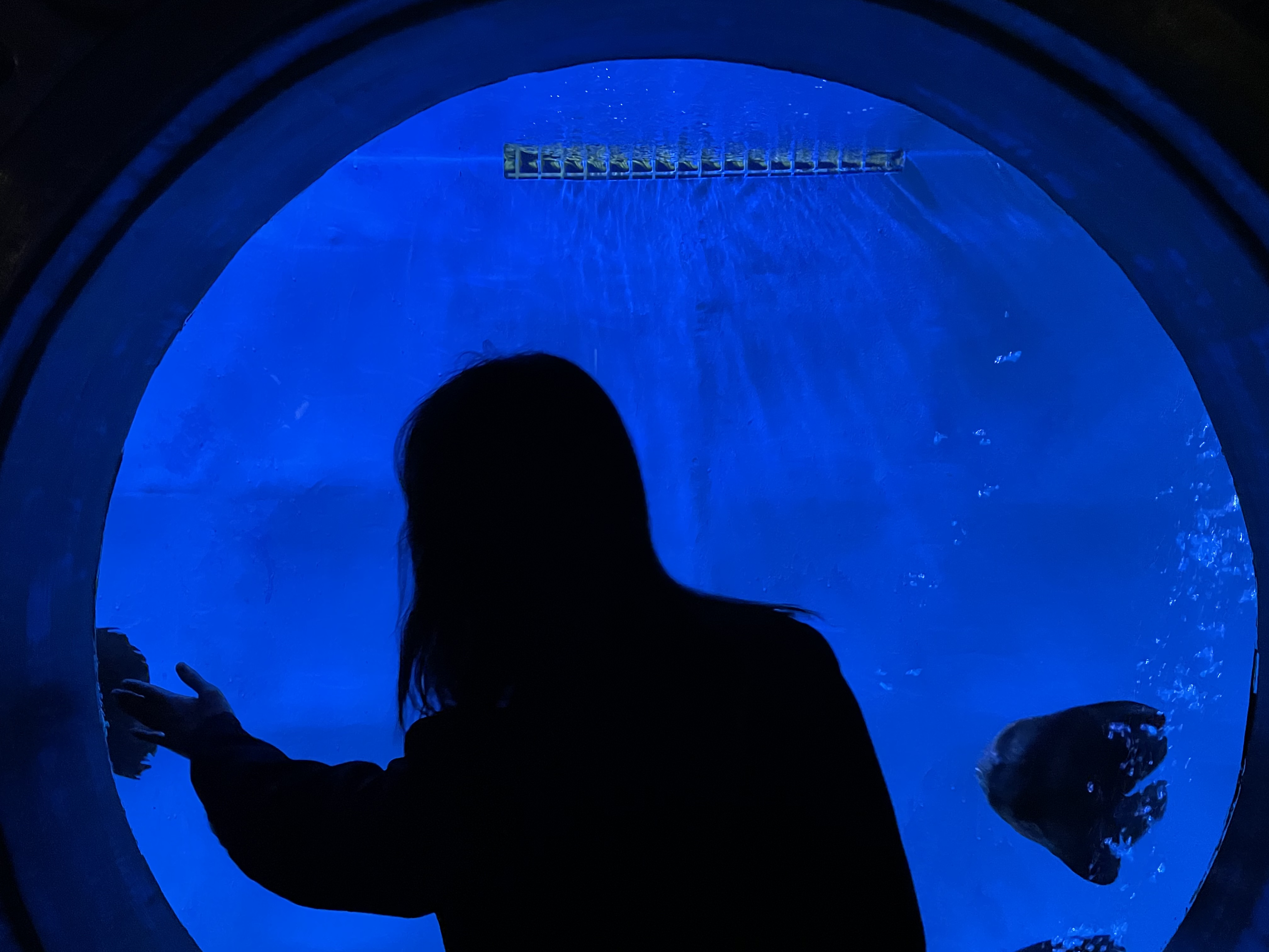 水族馆