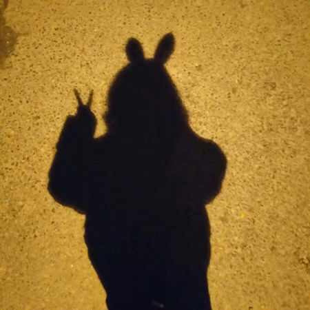 ✌