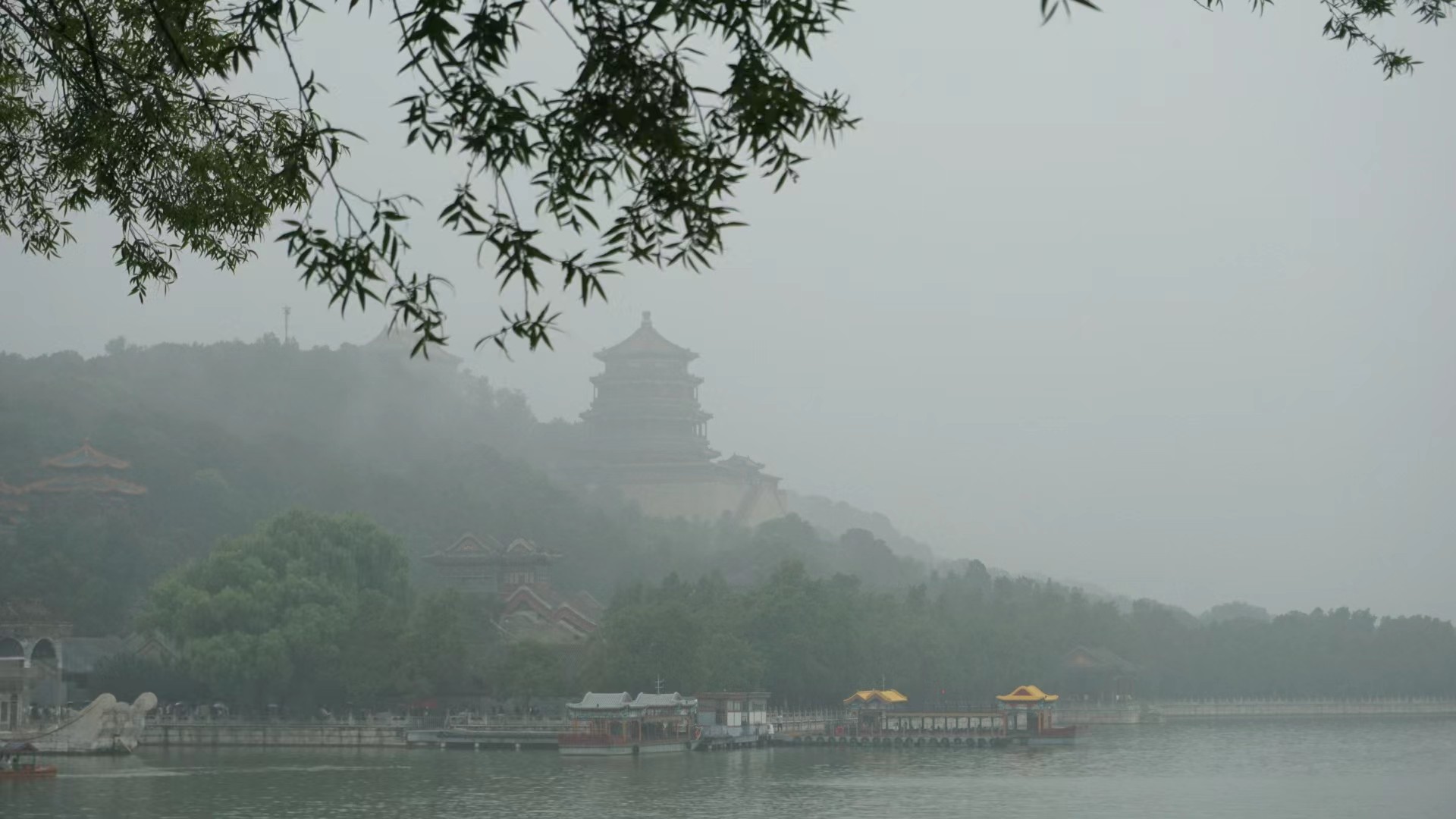 雾气