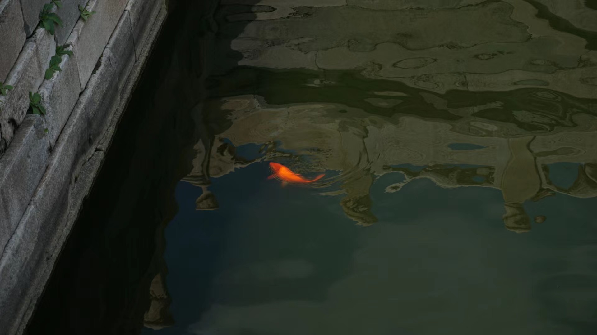 故宫护城河