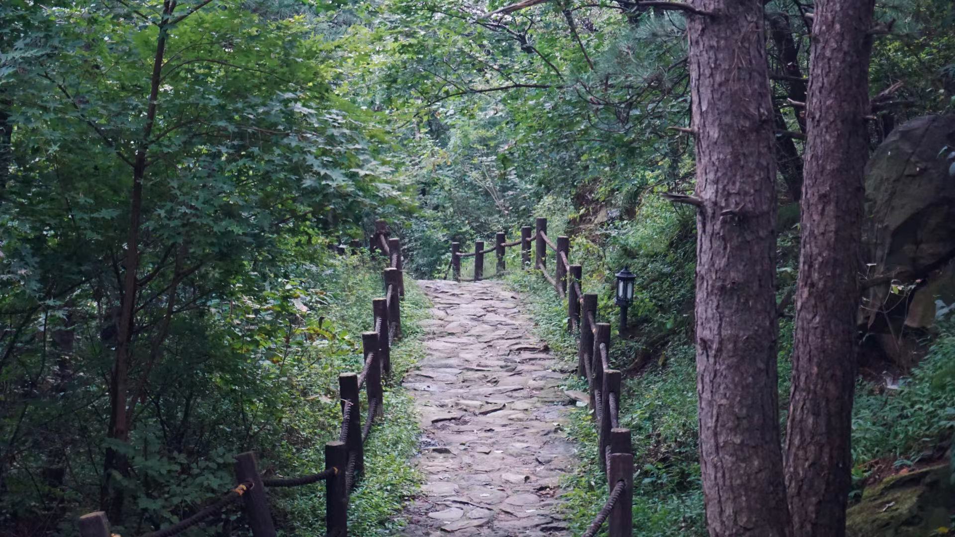 山路