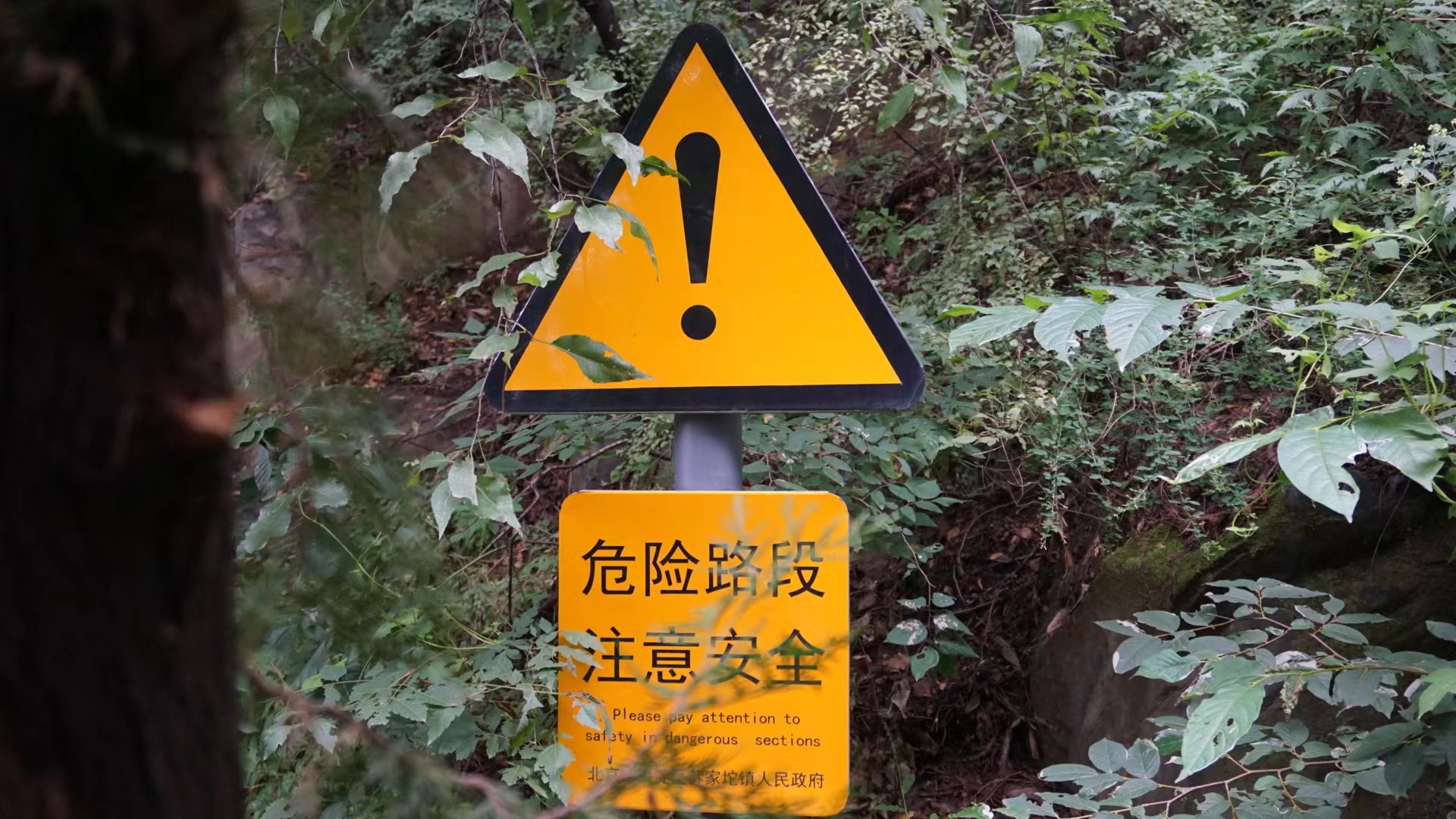 警示牌