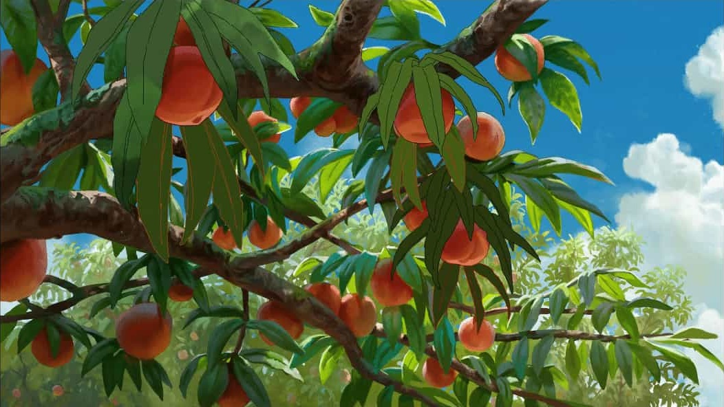 记录一次后端部署