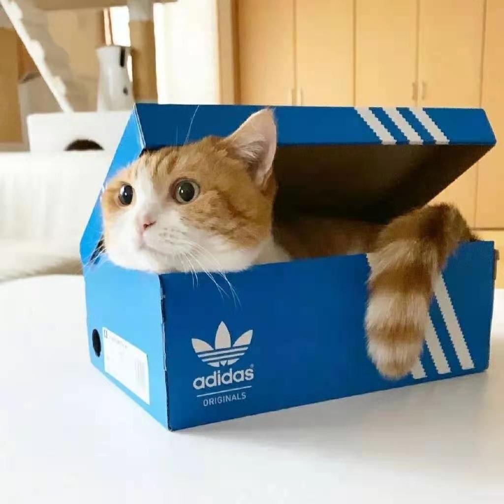 【javaScript案例】之类似购物车的效果实现